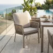 Крісло Liv Low Dining, Champagne, Navajo White