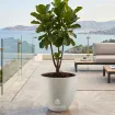 Горщик для квітів Grigio Egg Pot 60 - Antique White 60x54 — фото 2
