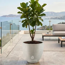 Горшок для цветов Grigio Egg Pot 60 - Antique White 60x54 — фото 2