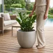 Горщик для квітів Grigio Metallic New Egg Pot 55 - Champagne 55x46