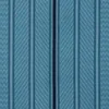 Blue Zebra